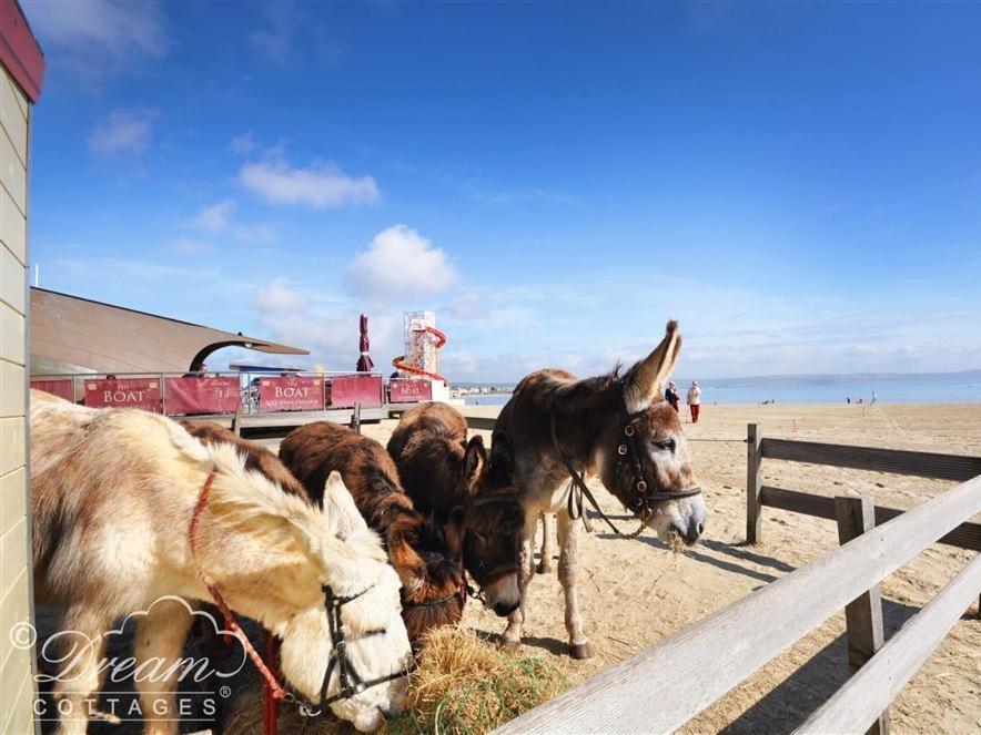 Baytree Lodge Веймут Екстер'єр фото